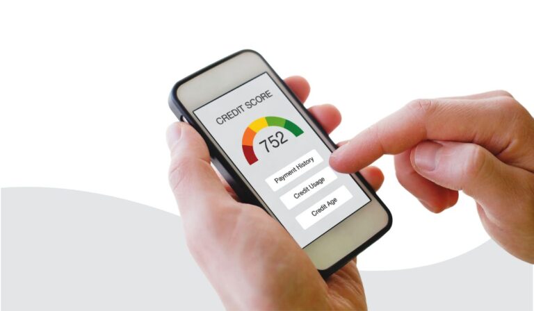 cibil score correction